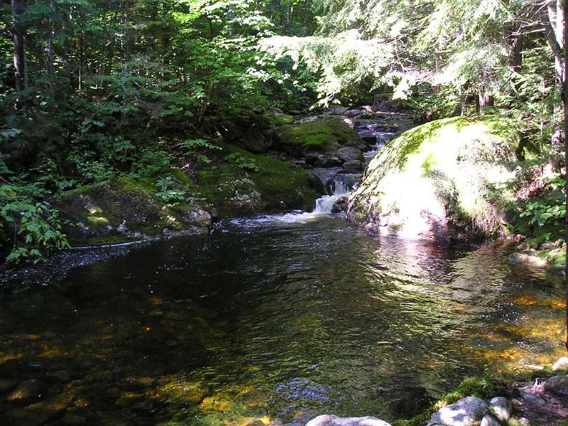 GooseEye (2).JPG - This would be a great pool for a swim.